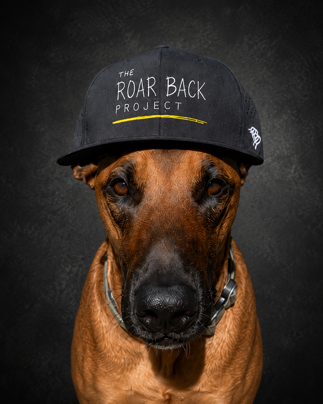 Percy wearing a Roar Back Project hat